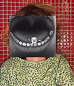 AMH-SweetTooth044.jpg