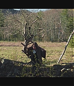 AMH-042.jpg