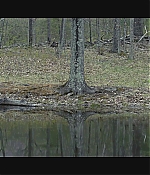 AMH-122.jpg