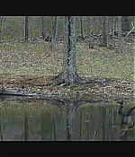 AMH-123.jpg