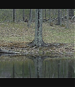 AMH-126.jpg