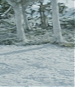 AMH101-260.jpg