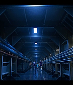 AMH305-051.jpg